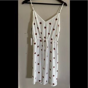 Babaton Casimir Dress S/P NWT